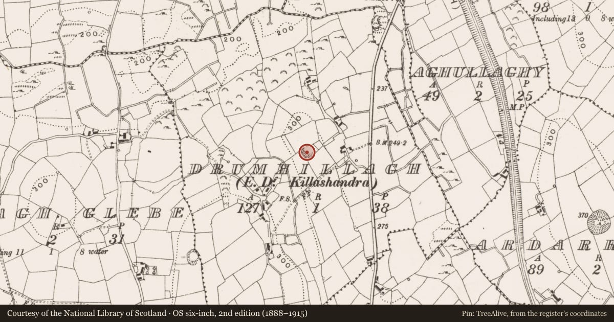 Ordnance Survey six-inch map, 2nd edition (1888–1915) covering the location of Ringfort - rath, Drumhillagh, County Cavan, with a pin at the register's coordinates