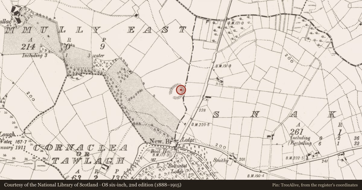 Ordnance Survey six-inch map, 2nd edition (1888–1915) covering the location of Ringfort - rath, Drummully East, County Cavan, with a pin at the register's coordinates