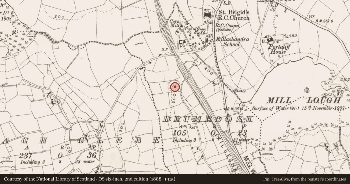 Ordnance Survey six-inch map, 2nd edition (1888–1915) covering the location of Ringfort - rath, Drumroosk, County Cavan, with a pin at the register's coordinates