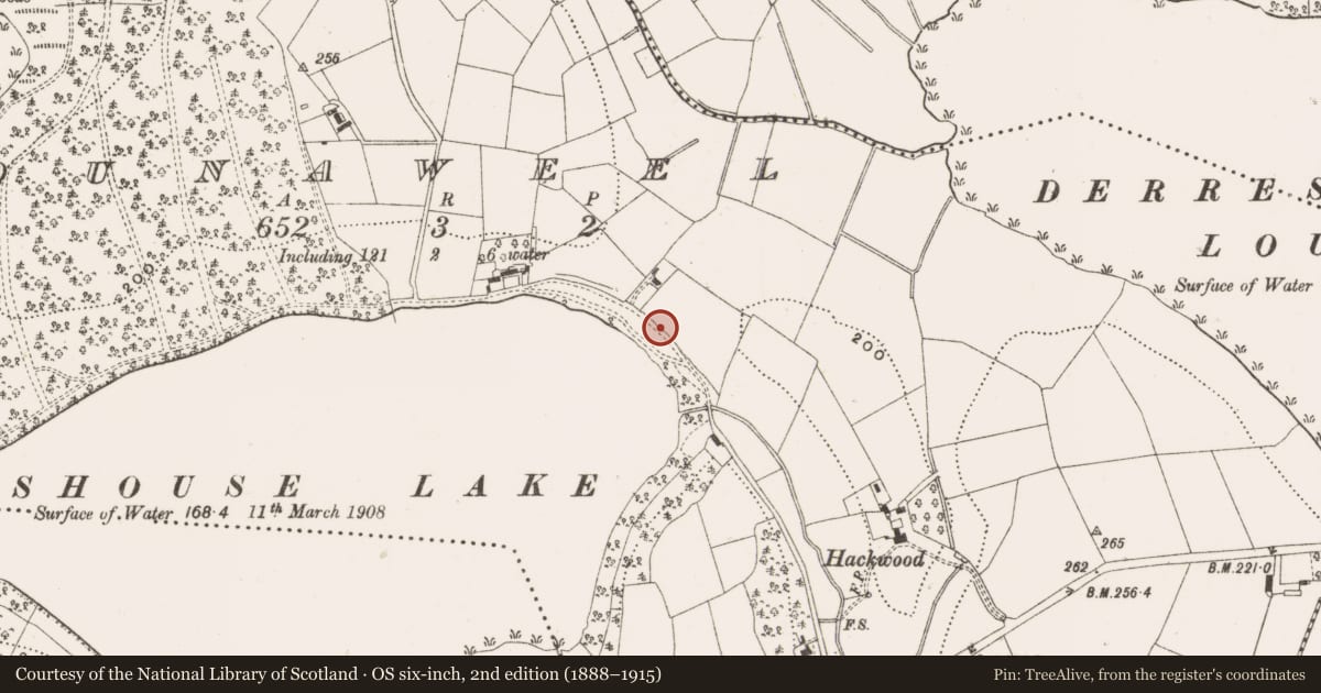 Ordnance Survey six-inch map, 2nd edition (1888–1915) covering the location of Ringfort - unclassified, Dunaweel, County Cavan, with a pin at the register's coordinates
