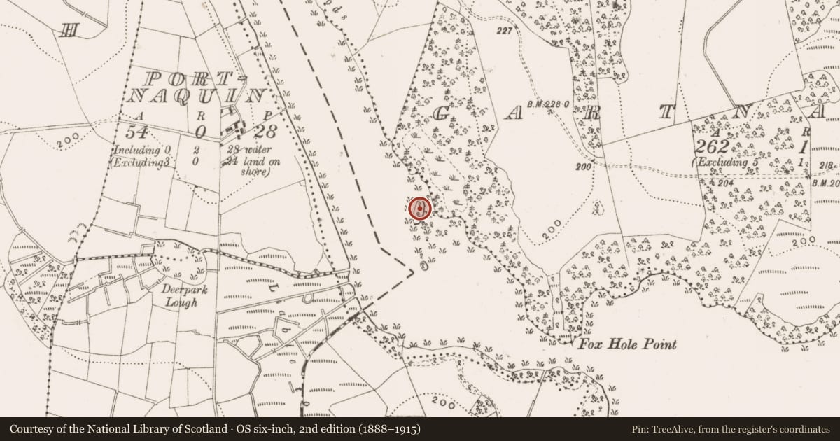 Ordnance Survey six-inch map, 2nd edition (1888–1915) covering the location of Crannog, Lough Oughter, County Cavan, with a pin at the register's coordinates