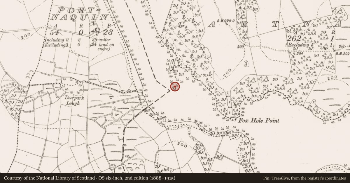 Ordnance Survey six-inch map, 2nd edition (1888–1915) covering the location of Crannog, Gartnanoul, County Cavan, with a pin at the register's coordinates