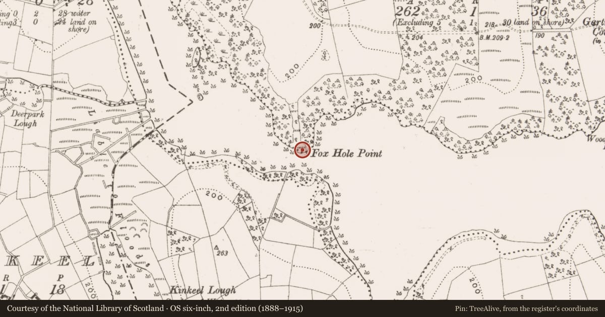 Ordnance Survey six-inch map, 2nd edition (1888–1915) covering the location of Crannog, Lough Oughter, County Cavan, with a pin at the register's coordinates