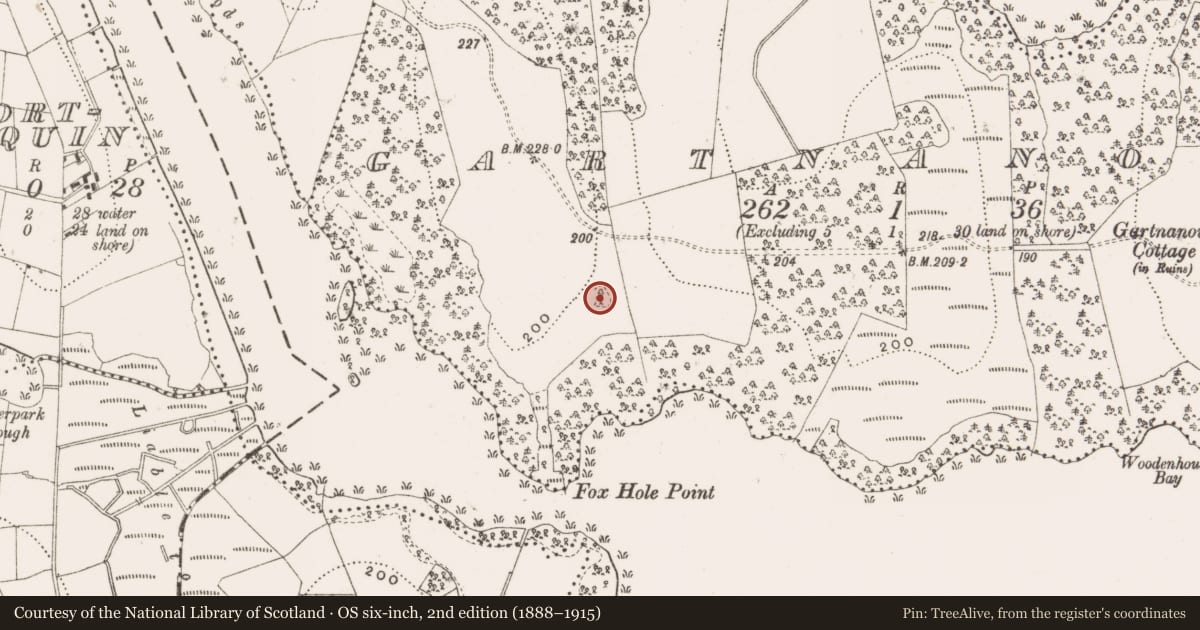 Ordnance Survey six-inch map, 2nd edition (1888–1915) covering the location of Megalithic tomb - court tomb, Gartnanoul, County Cavan, with a pin at the register's coordinates