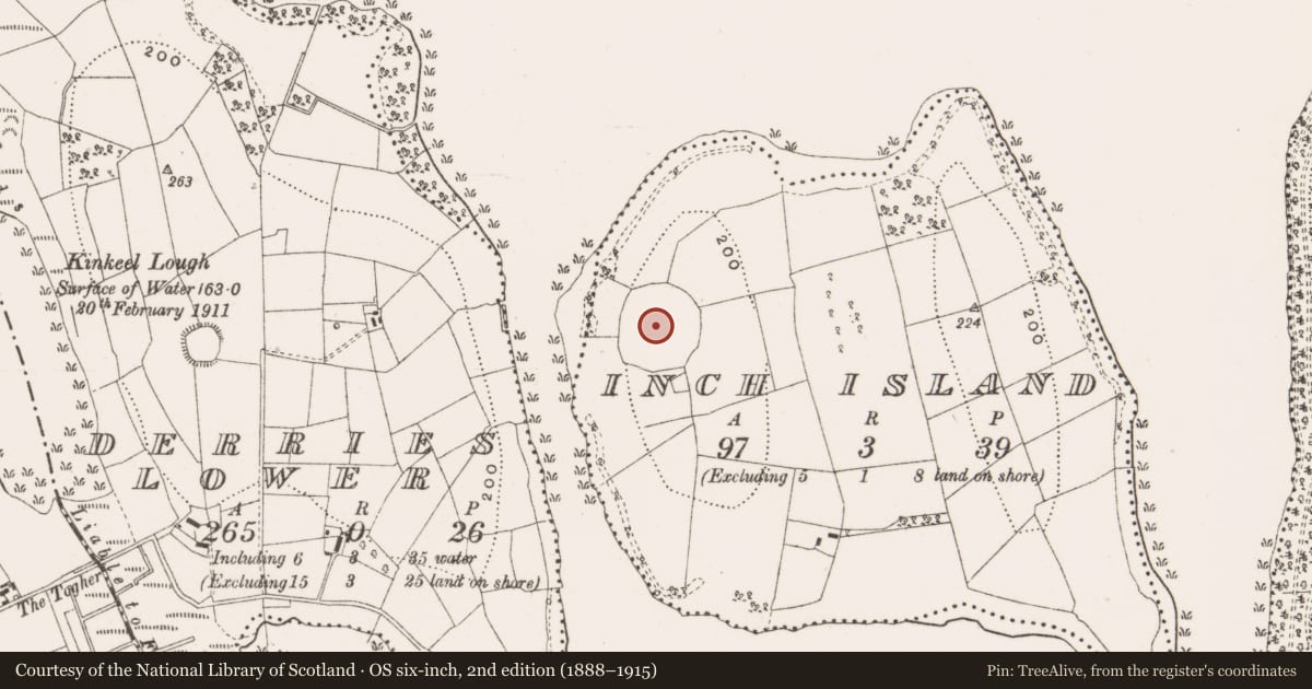Ordnance Survey six-inch map, 2nd edition (1888–1915) covering the location of Enclosure - large enclosure, Inch Island, County Cavan, with a pin at the register's coordinates