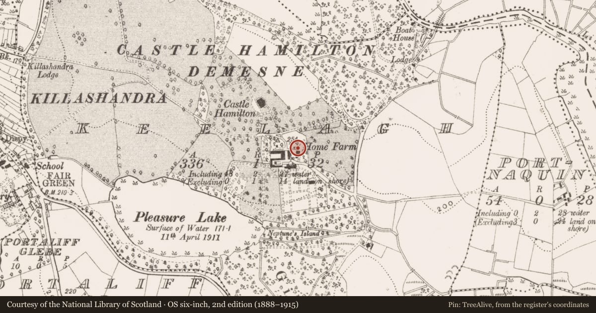 Ordnance Survey six-inch map, 2nd edition (1888–1915) covering the location of Castle - unclassified, Keelagh, County Cavan, with a pin at the register's coordinates