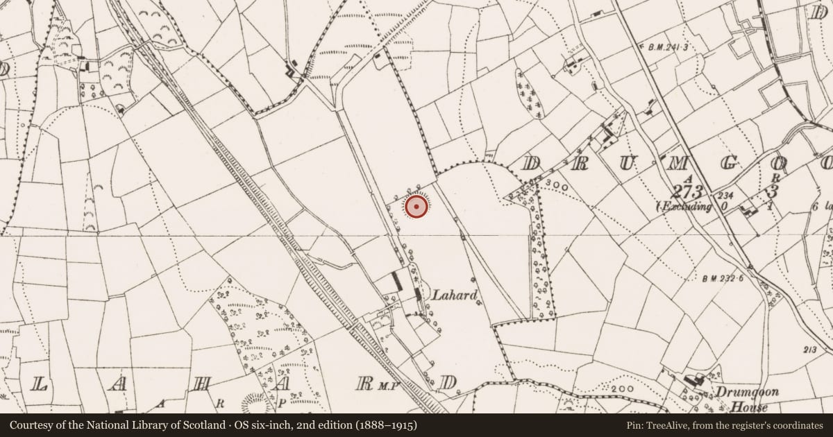 Ordnance Survey six-inch map, 2nd edition (1888–1915) covering the location of Ringfort - rath, Lahard, County Cavan, with a pin at the register's coordinates