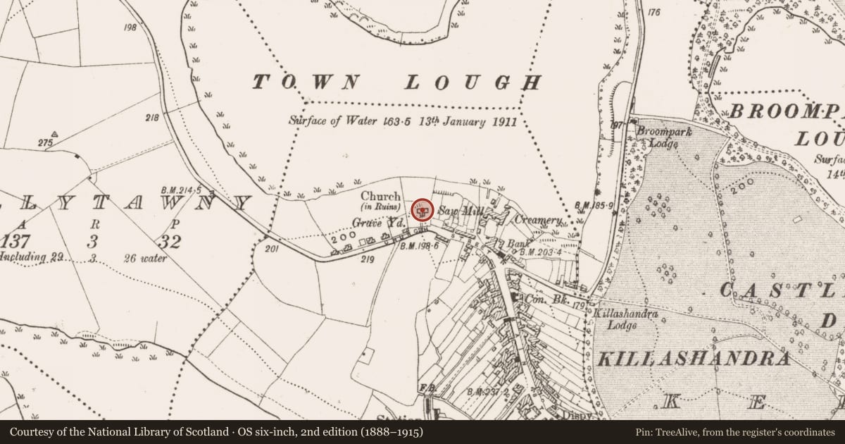 Ordnance Survey six-inch map, 2nd edition (1888–1915) covering the location of Church, Portaliff Or Townparks, County Cavan, with a pin at the register's coordinates
