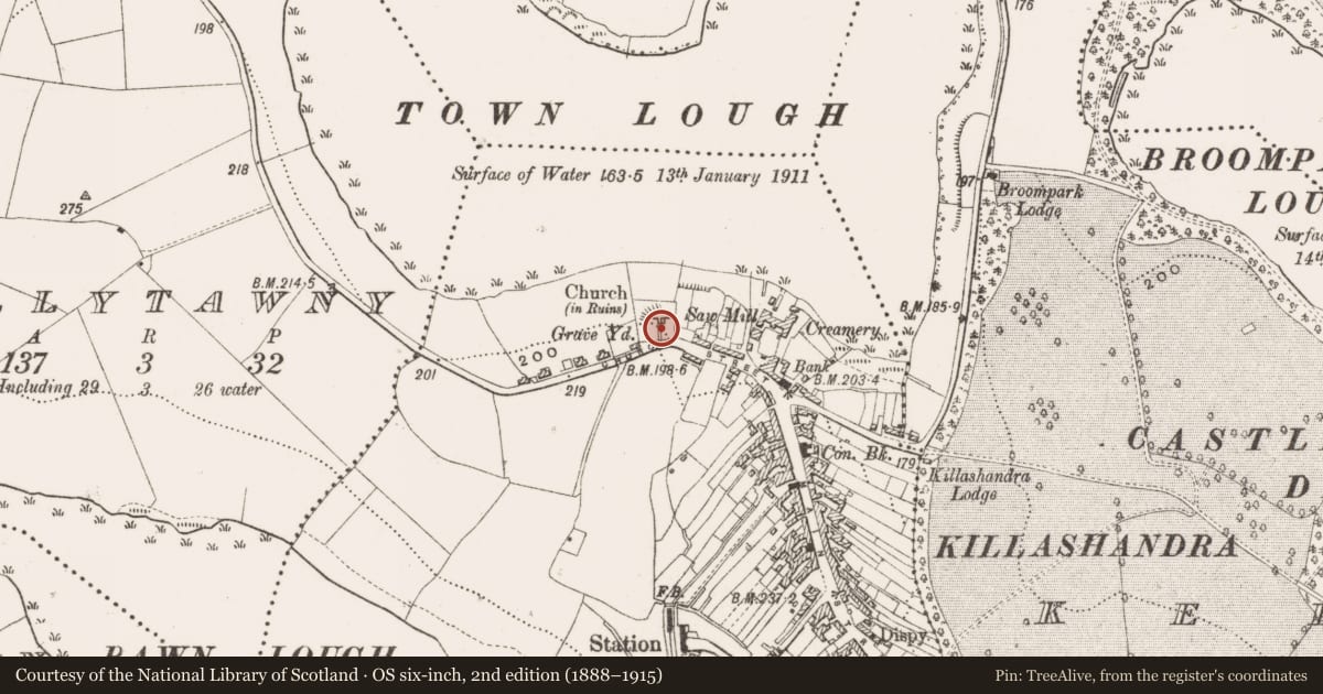 Ordnance Survey six-inch map, 2nd edition (1888–1915) covering the location of Ringfort - rath, Portaliff Or Townparks, County Cavan, with a pin at the register's coordinates