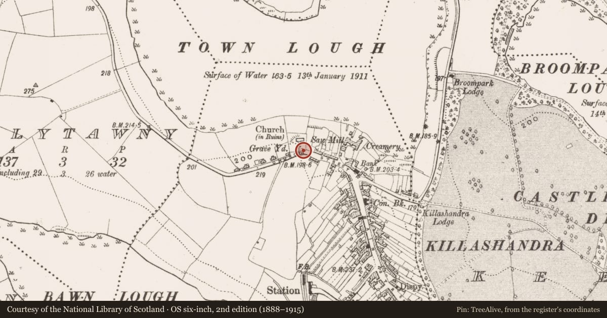 Ordnance Survey six-inch map, 2nd edition (1888–1915) covering the location of Wall monument, Portaliff Or Townparks, County Cavan, with a pin at the register's coordinates