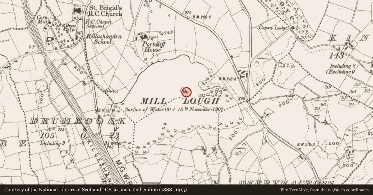 Ordnance Survey six-inch map, 2nd edition (1888–1915) covering the location of Crannog, Portaliff Or Townparks, County Cavan, with a pin at the register's coordinates