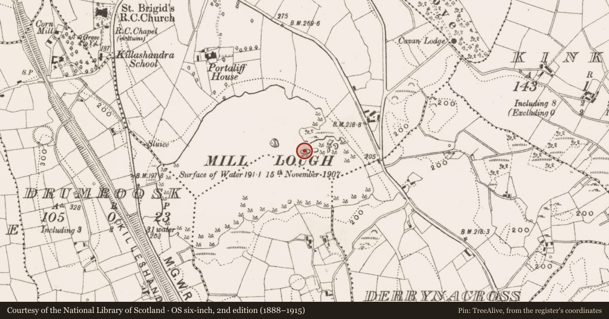 Ordnance Survey six-inch map, 2nd edition (1888–1915) covering the location of Crannog, Portaliff Or Townparks, County Cavan, with a pin at the register's coordinates