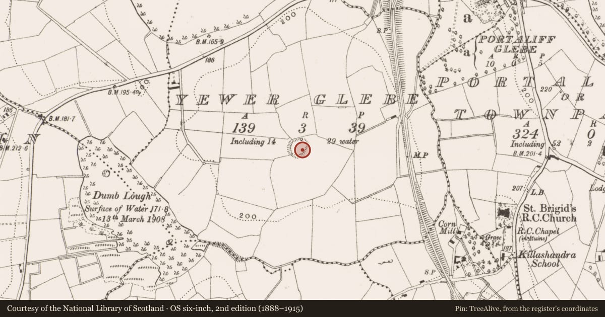 Ordnance Survey six-inch map, 2nd edition (1888–1915) covering the location of Ringfort - rath, Yewer Glebe, County Cavan, with a pin at the register's coordinates