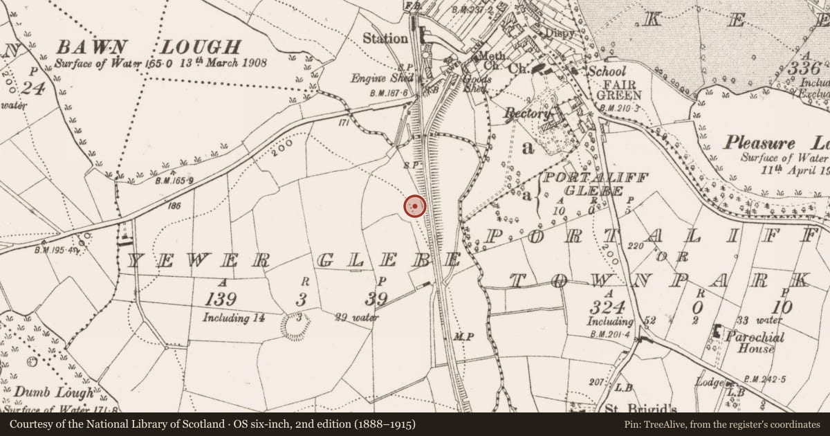 Ordnance Survey six-inch map, 2nd edition (1888–1915) covering the location of Ringfort - rath, Yewer Glebe, County Cavan, with a pin at the register's coordinates