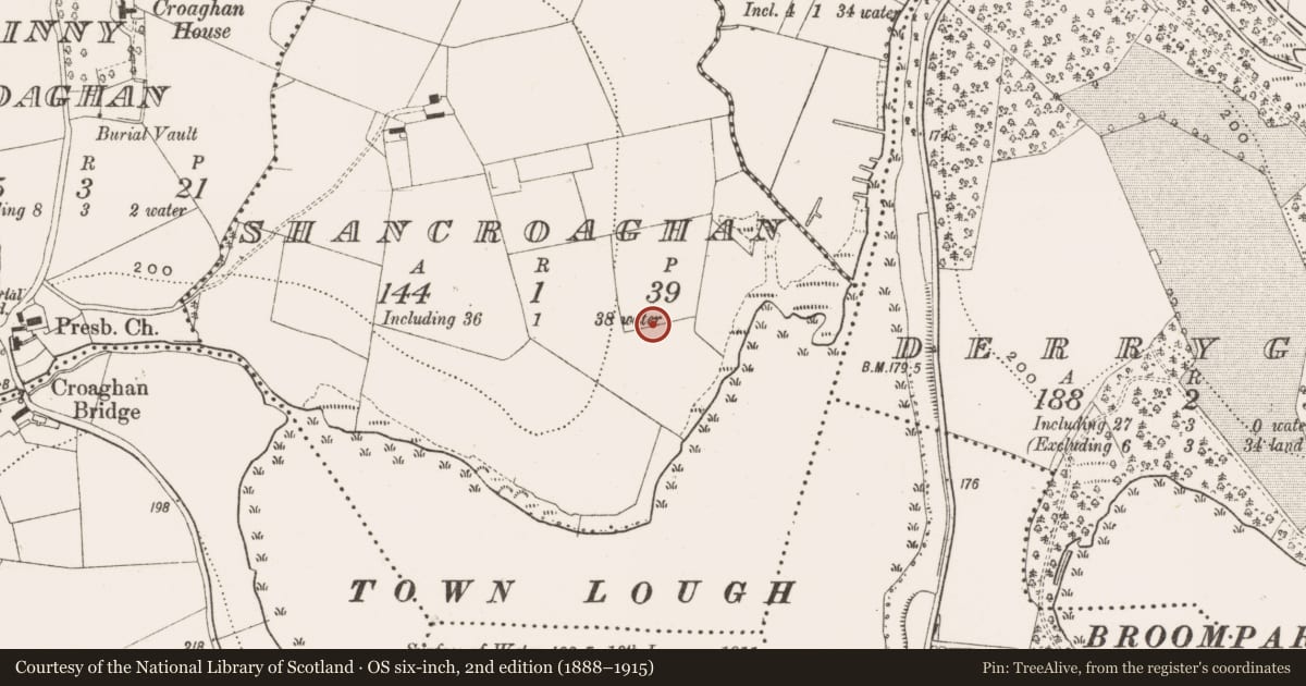 Ordnance Survey six-inch map, 2nd edition (1888–1915) covering the location of Enclosure, Shancroaghan, County Cavan, with a pin at the register's coordinates
