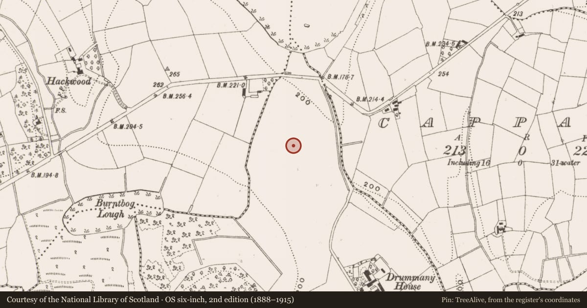 Ordnance Survey six-inch map, 2nd edition (1888–1915) covering the location of Enclosure, Drummany, County Cavan, with a pin at the register's coordinates