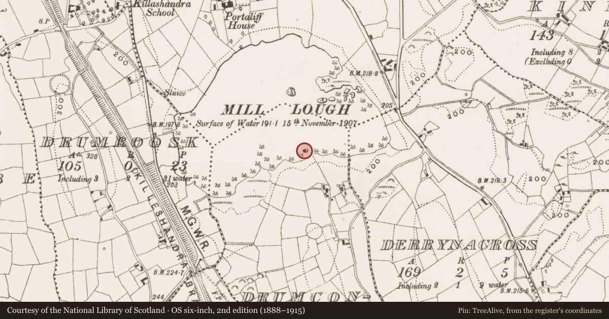 Ordnance Survey six-inch map, 2nd edition (1888–1915) covering the location of Crannog, Drumconlester, County Cavan, with a pin at the register's coordinates