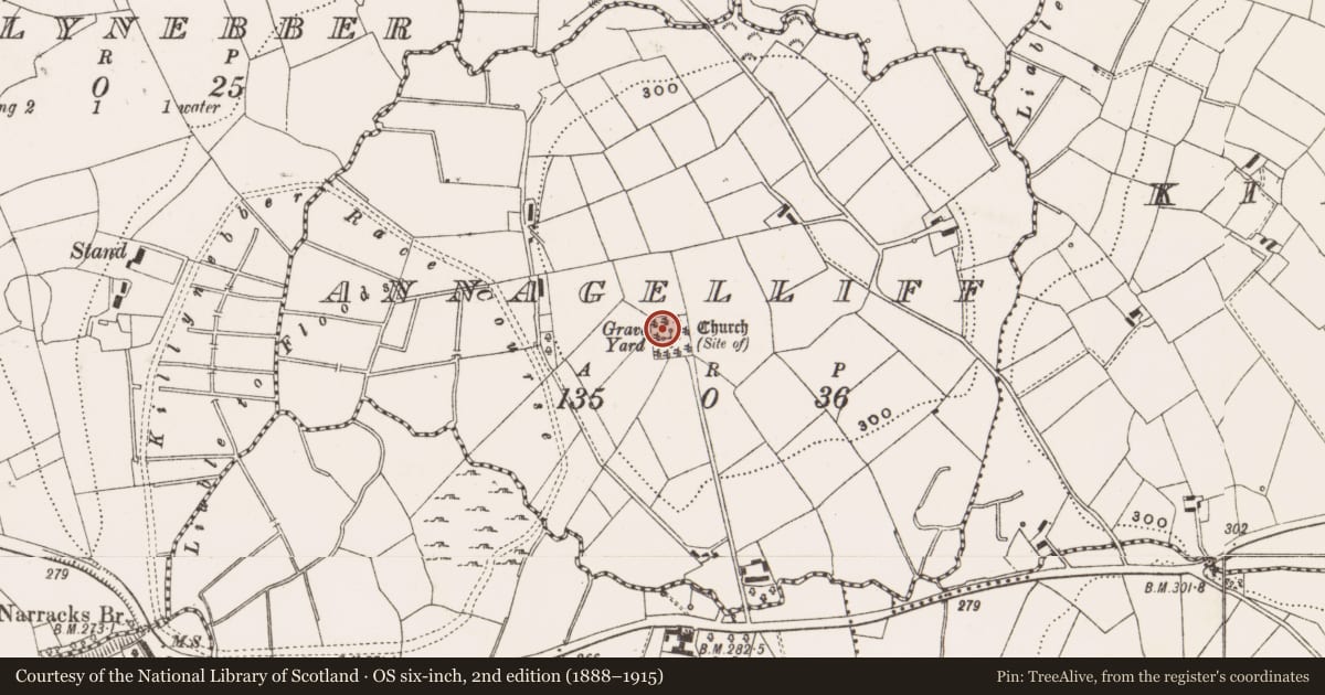 Ordnance Survey six-inch map, 2nd edition (1888–1915) covering the location of Church, Annagelliff, County Cavan, with a pin at the register's coordinates