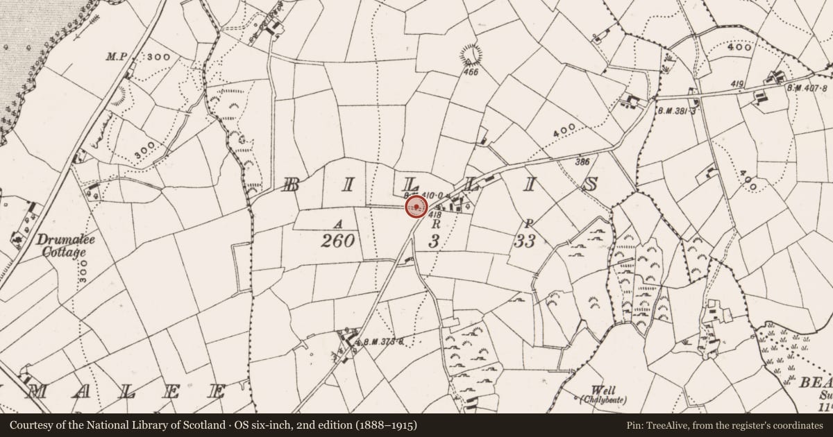Ordnance Survey six-inch map, 2nd edition (1888–1915) covering the location of Ringfort - rath, Billis, County Cavan, with a pin at the register's coordinates