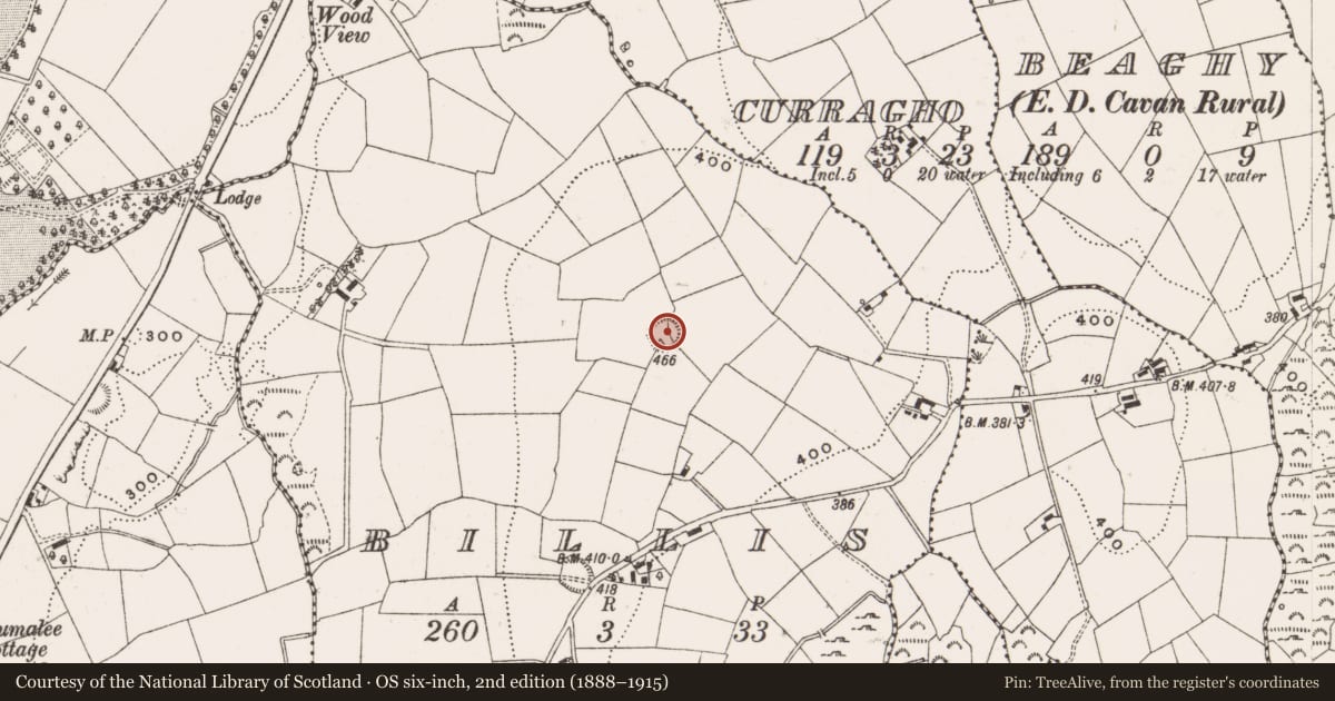 Ordnance Survey six-inch map, 2nd edition (1888–1915) covering the location of Ringfort - rath, Billis, County Cavan, with a pin at the register's coordinates