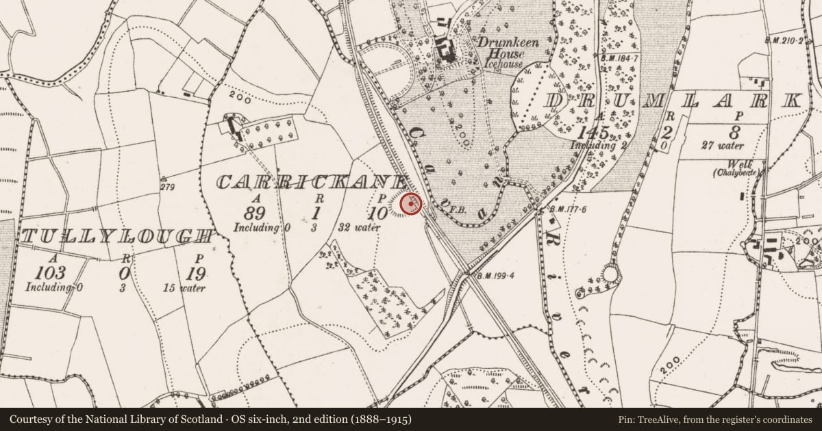 Ordnance Survey six-inch map, 2nd edition (1888–1915) covering the location of Ringfort - rath, Carrickane, County Cavan, with a pin at the register's coordinates