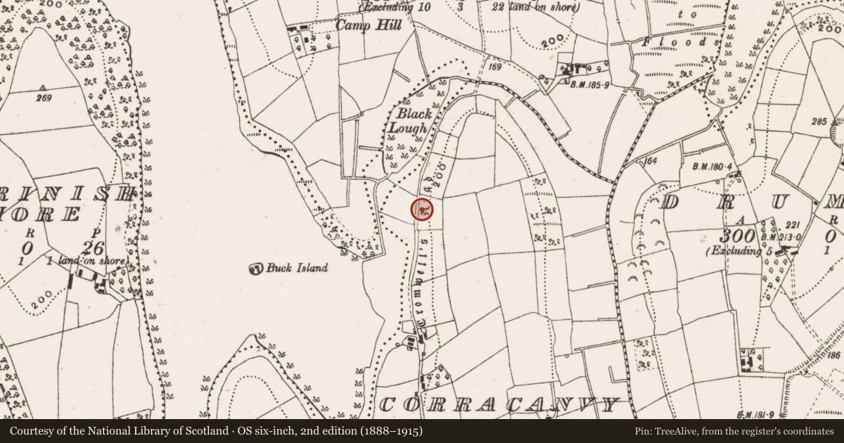Ordnance Survey six-inch map, 2nd edition (1888–1915) covering the location of Road - road/trackway, Corracanvy, Inishconnell, County Cavan, with a pin at the register's coordinates
