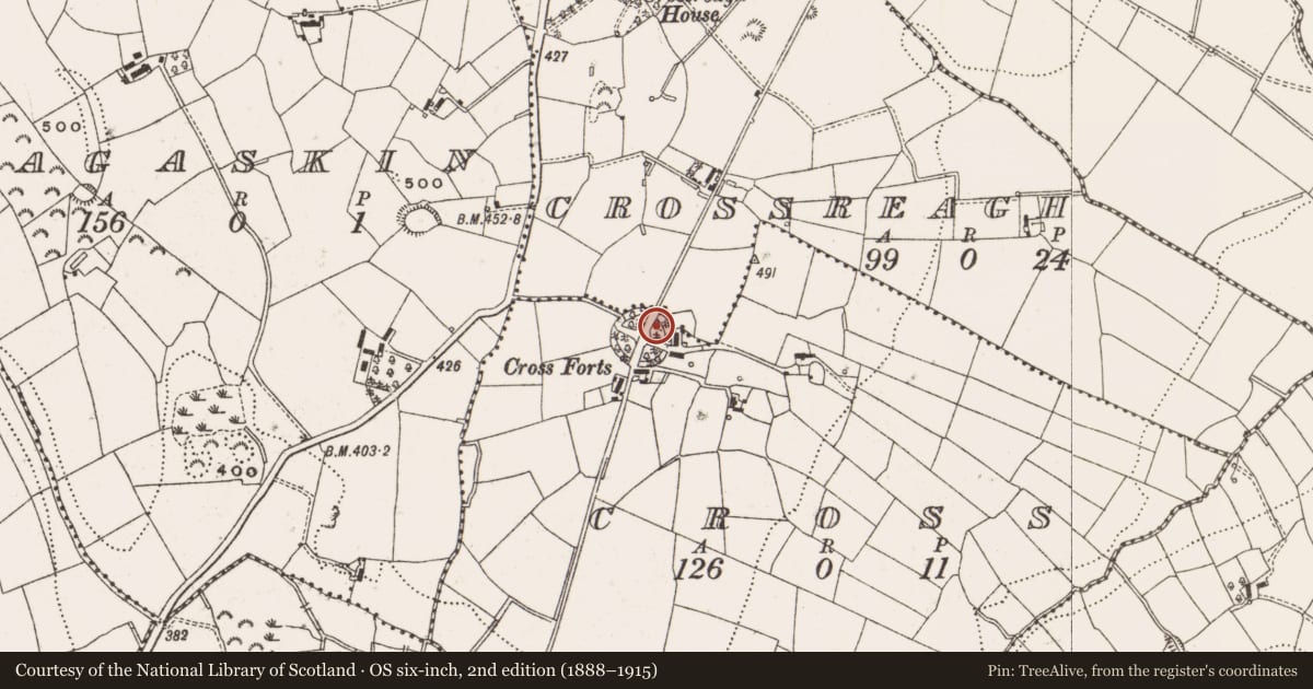 Ordnance Survey six-inch map, 2nd edition (1888–1915) covering the location of Ringfort - rath, Cross, County Cavan, with a pin at the register's coordinates