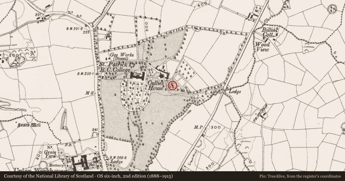 Ordnance Survey six-inch map, 2nd edition (1888–1915) covering the location of Ringfort - rath, Cullies, County Cavan, with a pin at the register's coordinates