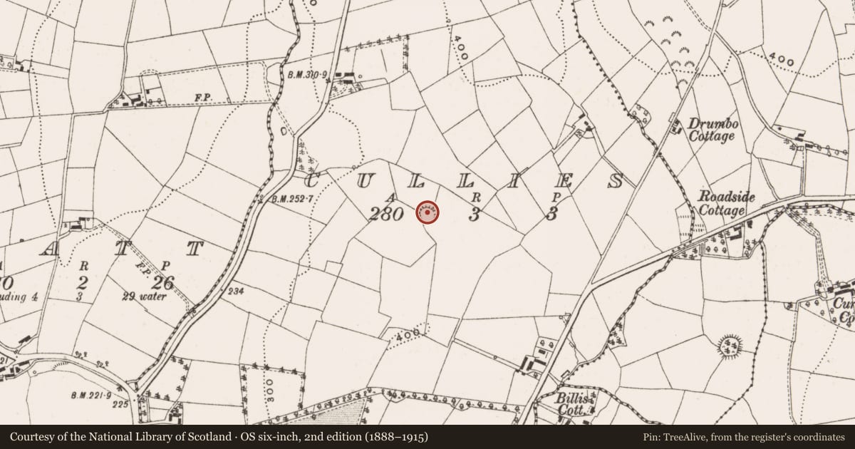 Ordnance Survey six-inch map, 2nd edition (1888–1915) covering the location of Ringfort - rath, Cullies, County Cavan, with a pin at the register's coordinates