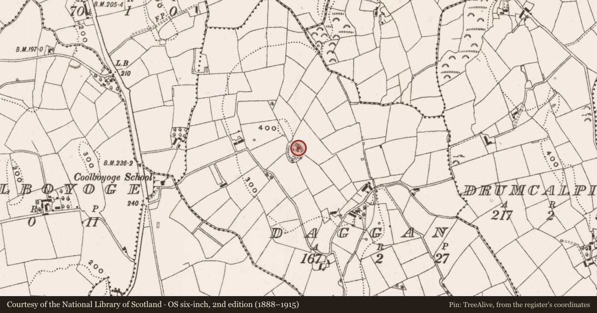 Ordnance Survey six-inch map, 2nd edition (1888–1915) covering the location of Ringfort - rath, Daggan, County Cavan, with a pin at the register's coordinates