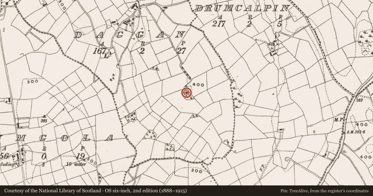 Ordnance Survey six-inch map, 2nd edition (1888–1915) covering the location of Burial ground, Daggan, County Cavan, with a pin at the register's coordinates