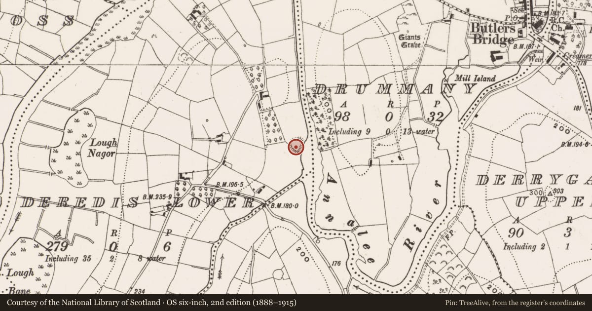 Ordnance Survey six-inch map, 2nd edition (1888–1915) covering the location of Ringfort - rath, Deredis Lower, County Cavan, with a pin at the register's coordinates