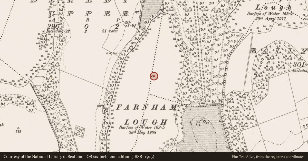 Ordnance Survey six-inch map, 2nd edition (1888–1915) covering the location of Crannog, Deredis Upper, Derrygid, County Cavan, with a pin at the register's coordinates