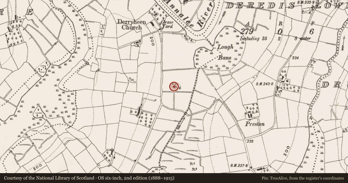 Ordnance Survey six-inch map, 2nd edition (1888–1915) covering the location of Ringfort - rath, Derryheen, County Cavan, with a pin at the register's coordinates