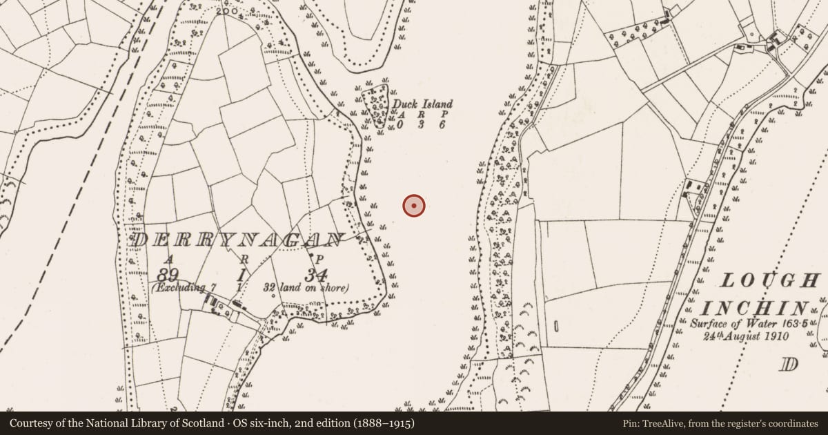 Ordnance Survey six-inch map, 2nd edition (1888–1915) covering the location of Crannog, Derrynagan, County Cavan, with a pin at the register's coordinates
