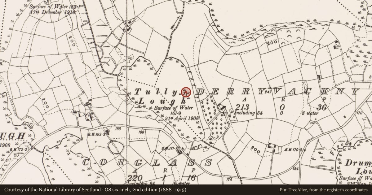 Ordnance Survey six-inch map, 2nd edition (1888–1915) covering the location of Crannog, Derryvackny, County Cavan, with a pin at the register's coordinates