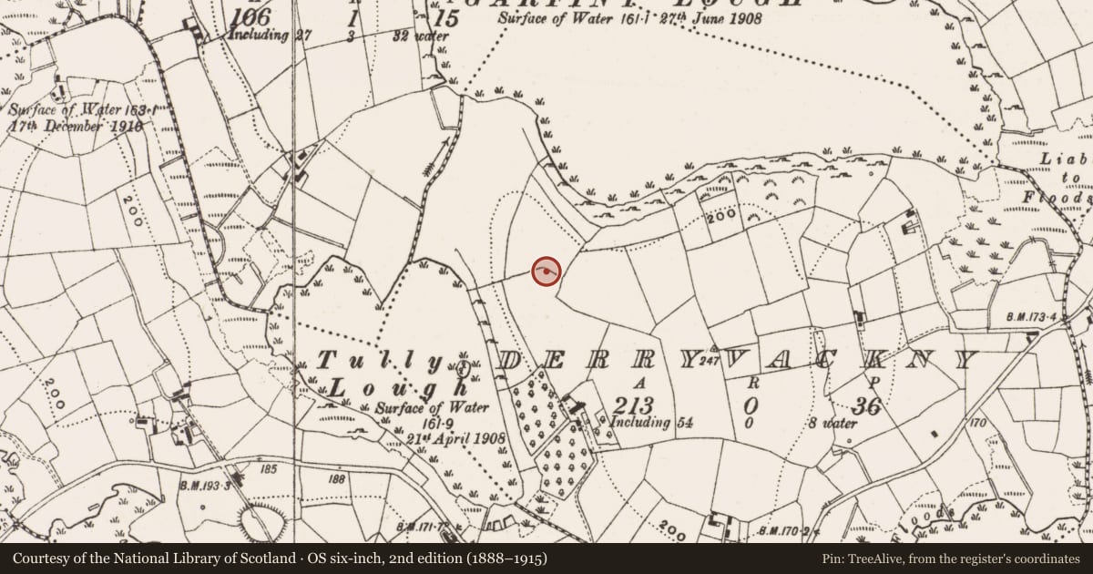 Ordnance Survey six-inch map, 2nd edition (1888–1915) covering the location of Ringfort - rath, Derryvackny, County Cavan, with a pin at the register's coordinates