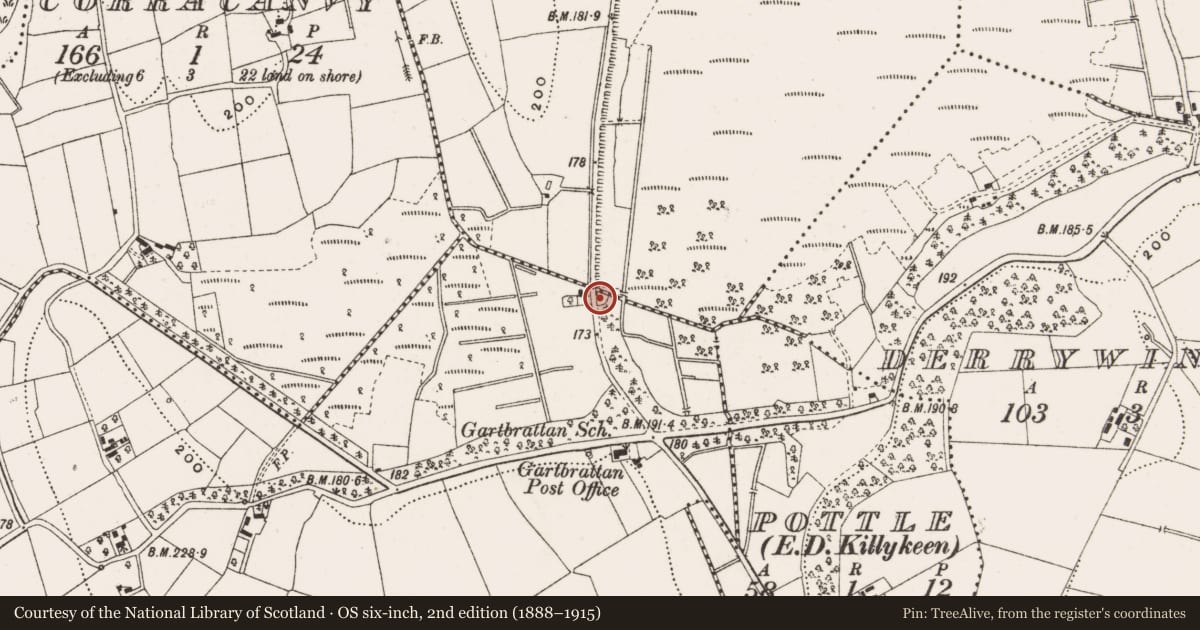 Ordnance Survey six-inch map, 2nd edition (1888–1915) covering the location of Road - unclassified togher, Drumard, Gartbrattan, County Cavan, with a pin at the register's coordinates