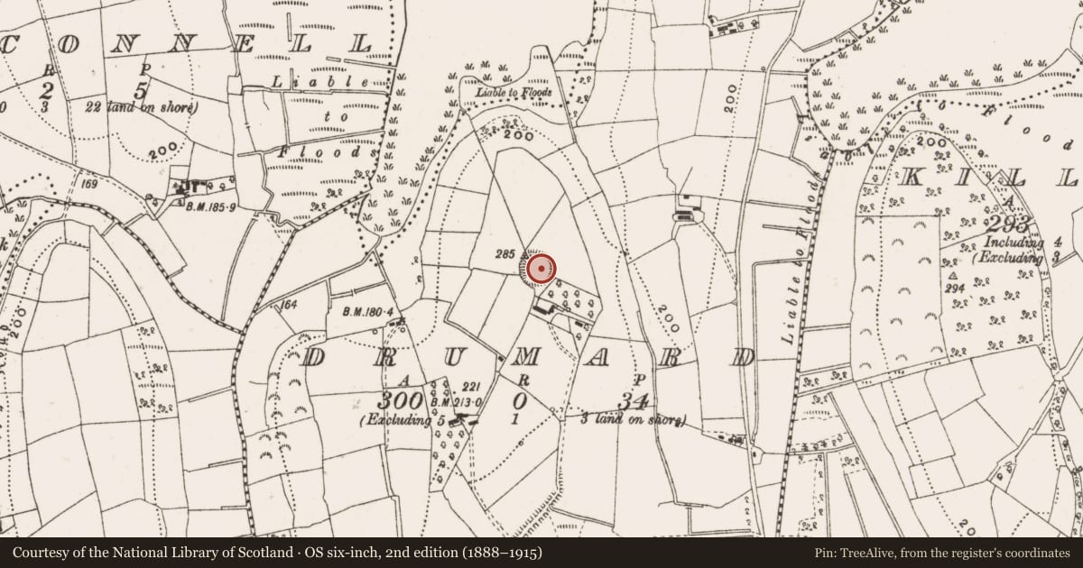 Ordnance Survey six-inch map, 2nd edition (1888–1915) covering the location of Ringfort - rath, Drumard, County Cavan, with a pin at the register's coordinates