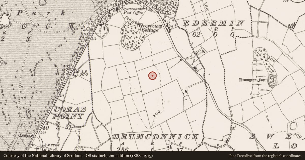 Ordnance Survey six-inch map, 2nd edition (1888–1915) covering the location of Ringfort - rath, Drumconnick, County Cavan, with a pin at the register's coordinates