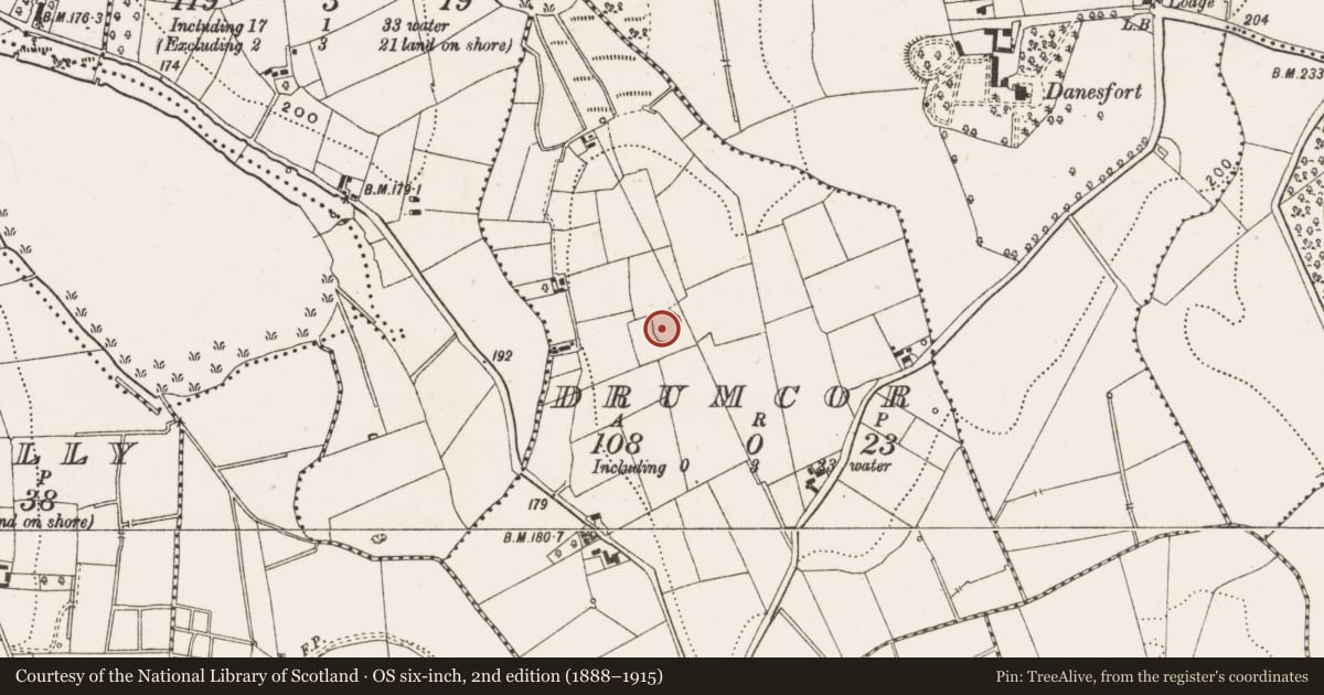 Ordnance Survey six-inch map, 2nd edition (1888–1915) covering the location of Ringfort - rath, Drumcor, County Cavan, with a pin at the register's coordinates