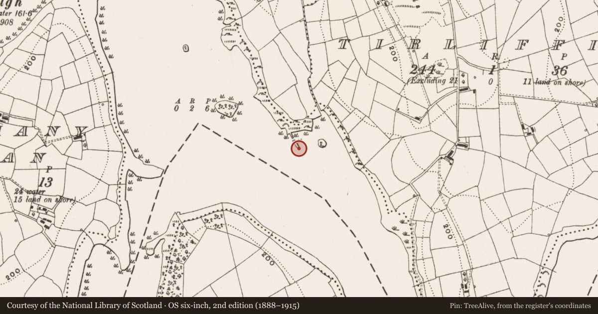 Ordnance Survey six-inch map, 2nd edition (1888–1915) covering the location of Crannog, Drumheel, County Cavan, with a pin at the register's coordinates