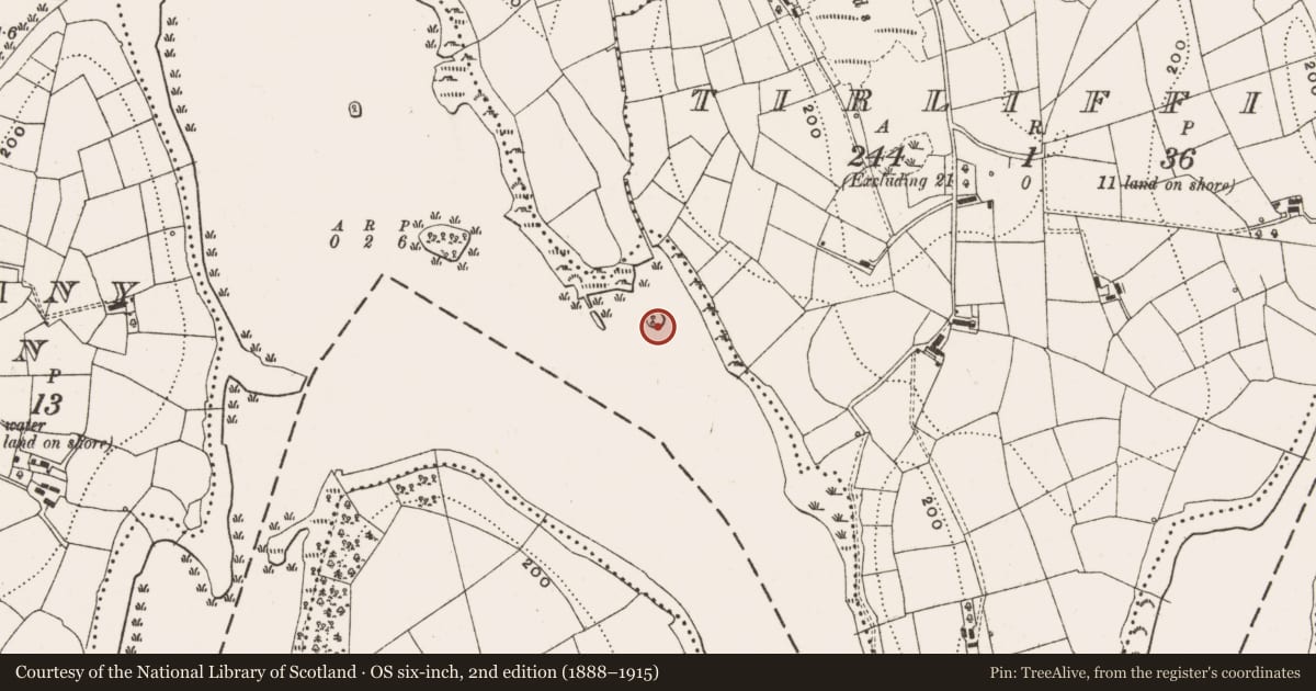 Ordnance Survey six-inch map, 2nd edition (1888–1915) covering the location of Crannog, Drumheel, County Cavan, with a pin at the register's coordinates