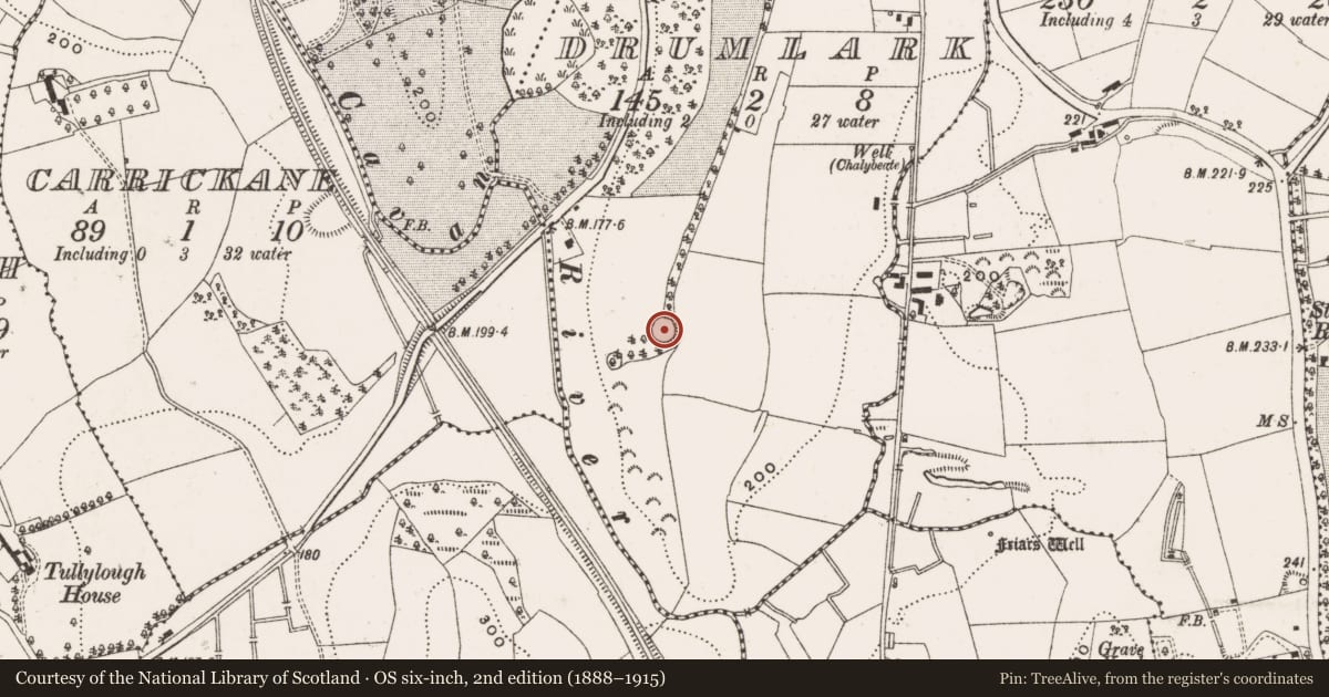 Ordnance Survey six-inch map, 2nd edition (1888–1915) covering the location of Enclosure, Drumlark, County Cavan, with a pin at the register's coordinates