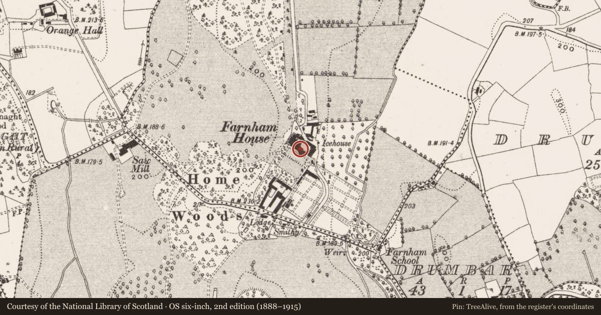 Ordnance Survey six-inch map, 2nd edition (1888–1915) covering the location of Castle - unclassified, Farnham, County Cavan, with a pin at the register's coordinates