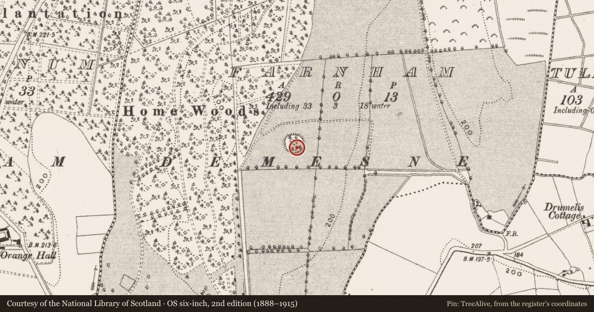 Ordnance Survey six-inch map, 2nd edition (1888–1915) covering the location of Ringfort - rath, Farnham, County Cavan, with a pin at the register's coordinates