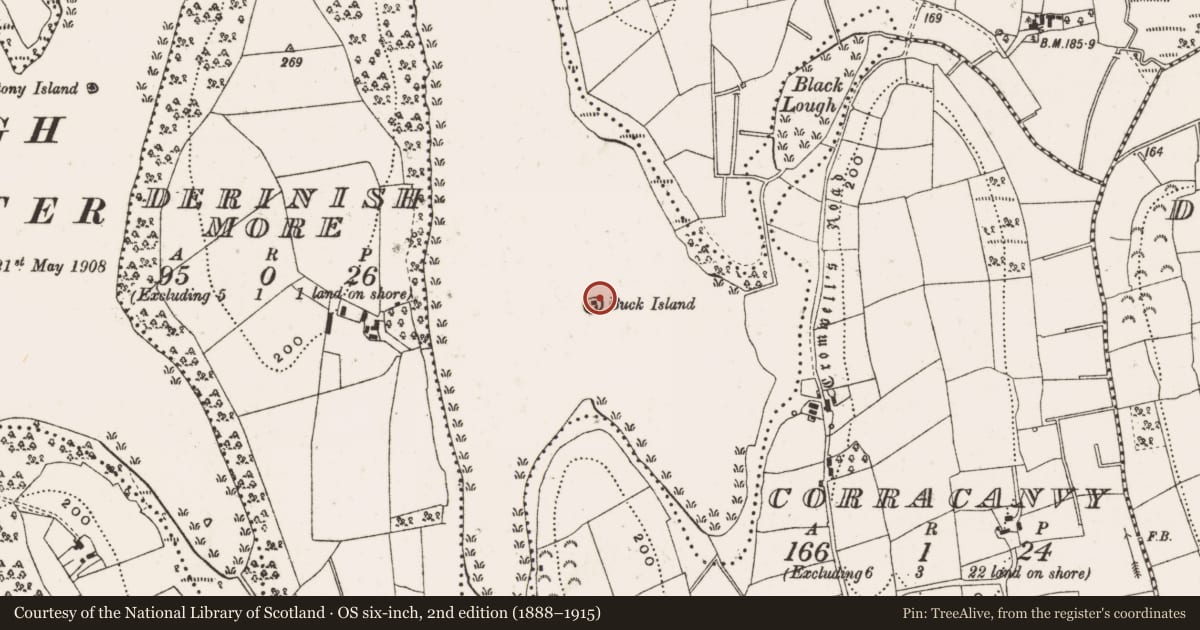 Ordnance Survey six-inch map, 2nd edition (1888–1915) covering the location of Crannog, Inishconnell, County Cavan, with a pin at the register's coordinates