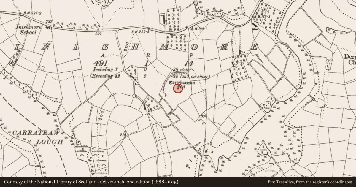 Ordnance Survey six-inch map, 2nd edition (1888–1915) covering the location of Enclosure, Inishmore, County Cavan, with a pin at the register's coordinates
