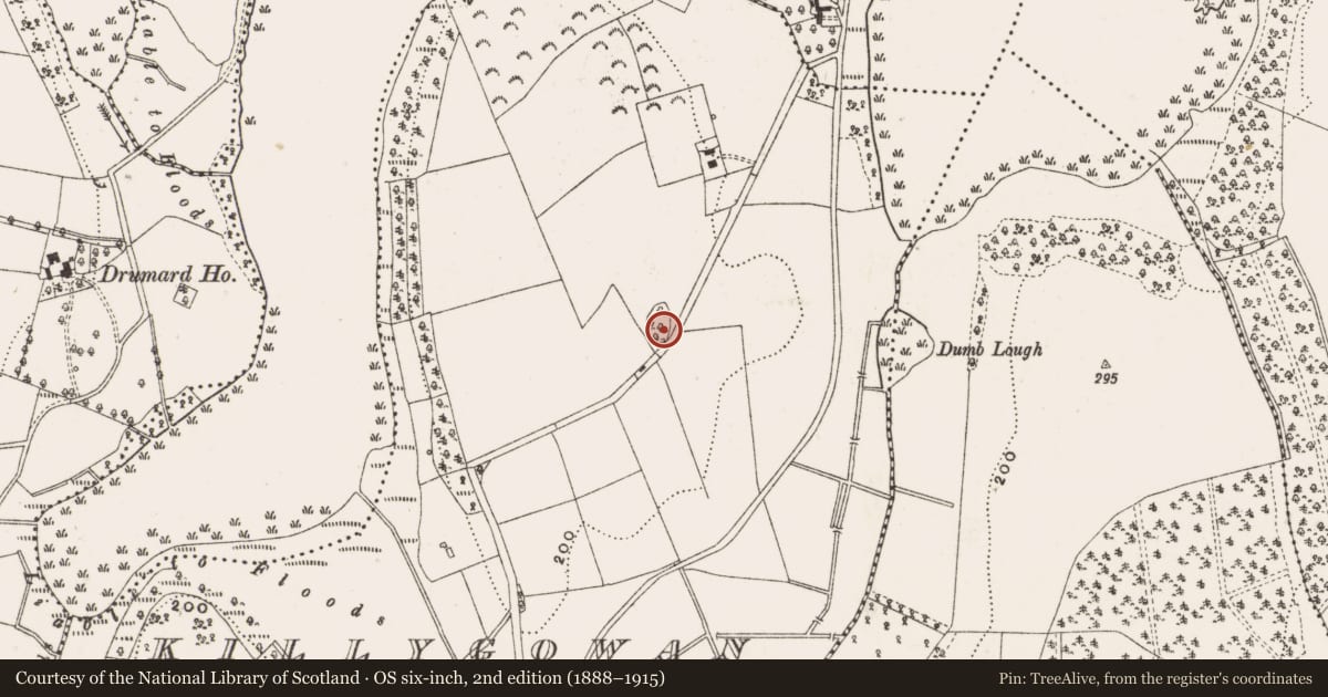 Ordnance Survey six-inch map, 2nd edition (1888–1915) covering the location of Ringfort - unclassified, Killygowan, County Cavan, with a pin at the register's coordinates