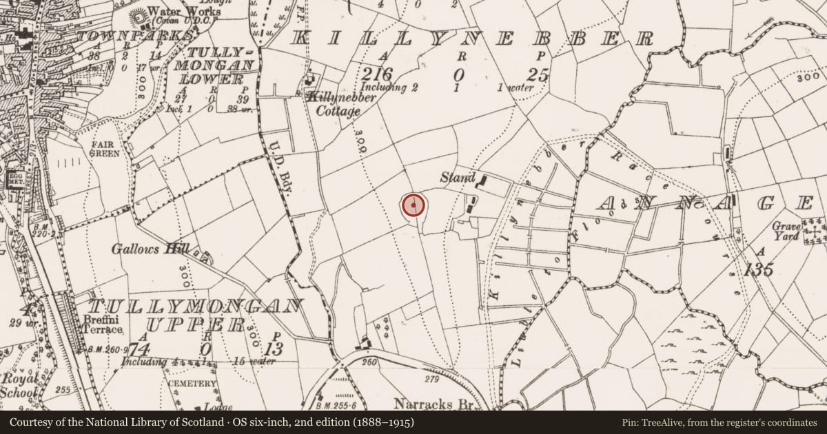 Ordnance Survey six-inch map, 2nd edition (1888–1915) covering the location of Ringfort - rath, Killynebber, County Cavan, with a pin at the register's coordinates